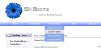 Click image for larger version. 

Name:	flyout1.jpg 
Views:	118 
Size:	28.7 KB 
ID:	13062