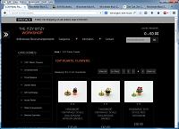 Click image for larger version. 

Name:	Uppercasing Issue.jpg 
Views:	279 
Size:	54.6 KB 
ID:	15011