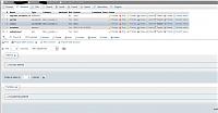 Click image for larger version. 

Name:	Zencart DB upgrade_exceptions structure.jpg 
Views:	98 
Size:	40.2 KB 
ID:	17795