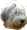Bryony's Avatar