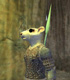 Lailokken's Avatar