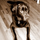 tombenson2's Avatar