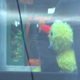 DuckBill's Avatar