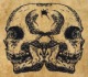 Boghead's Avatar