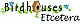 pwood31's Avatar