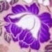 ISE312's Avatar