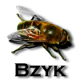 Bzyk's Avatar