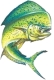 SandyFishGirl's Avatar