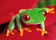 curt_l's Avatar