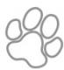 Petlife's Avatar