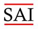 sai147369's Avatar