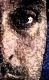 markRwingrove's Avatar